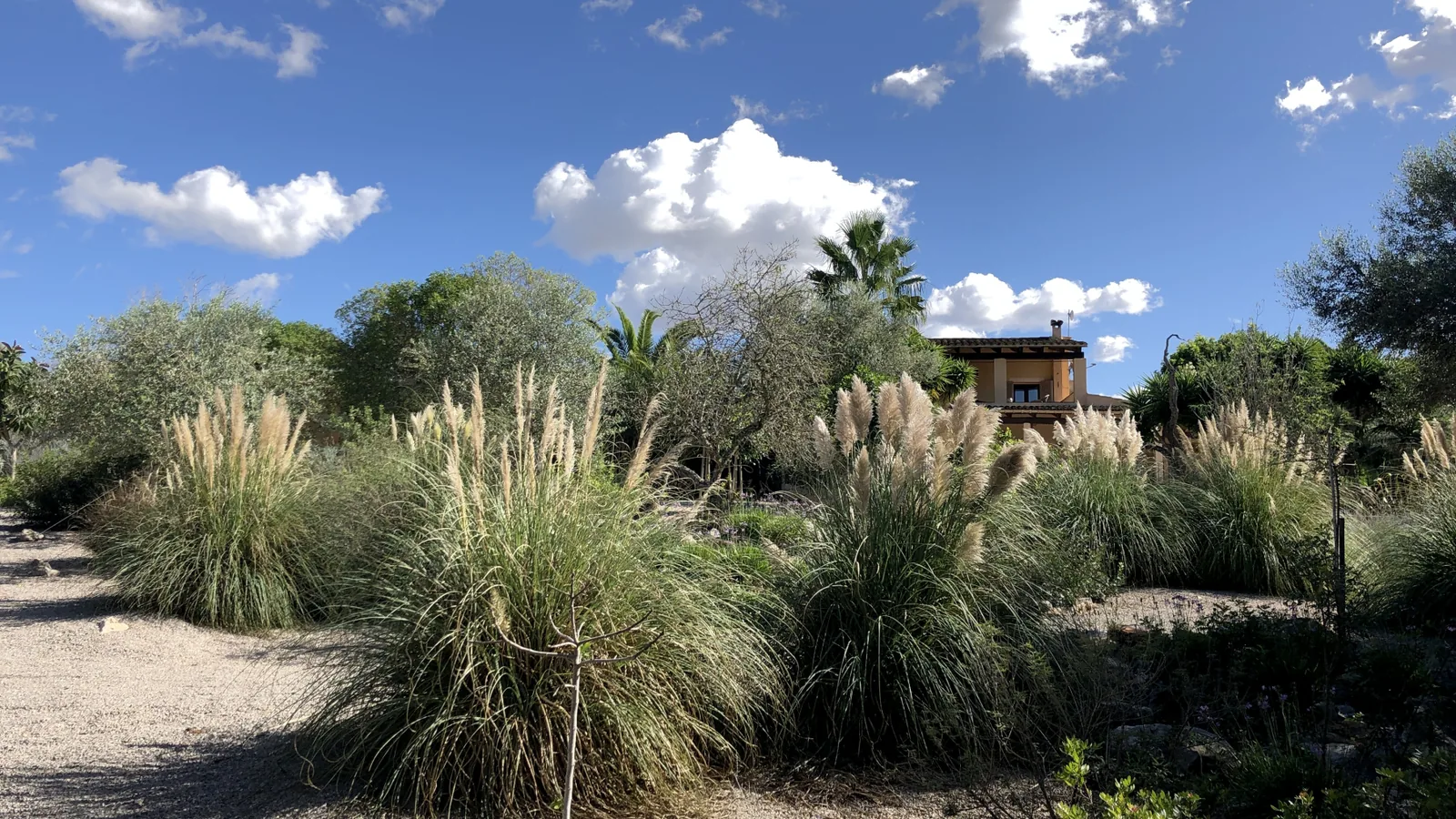 Traumfinca Can Rubi